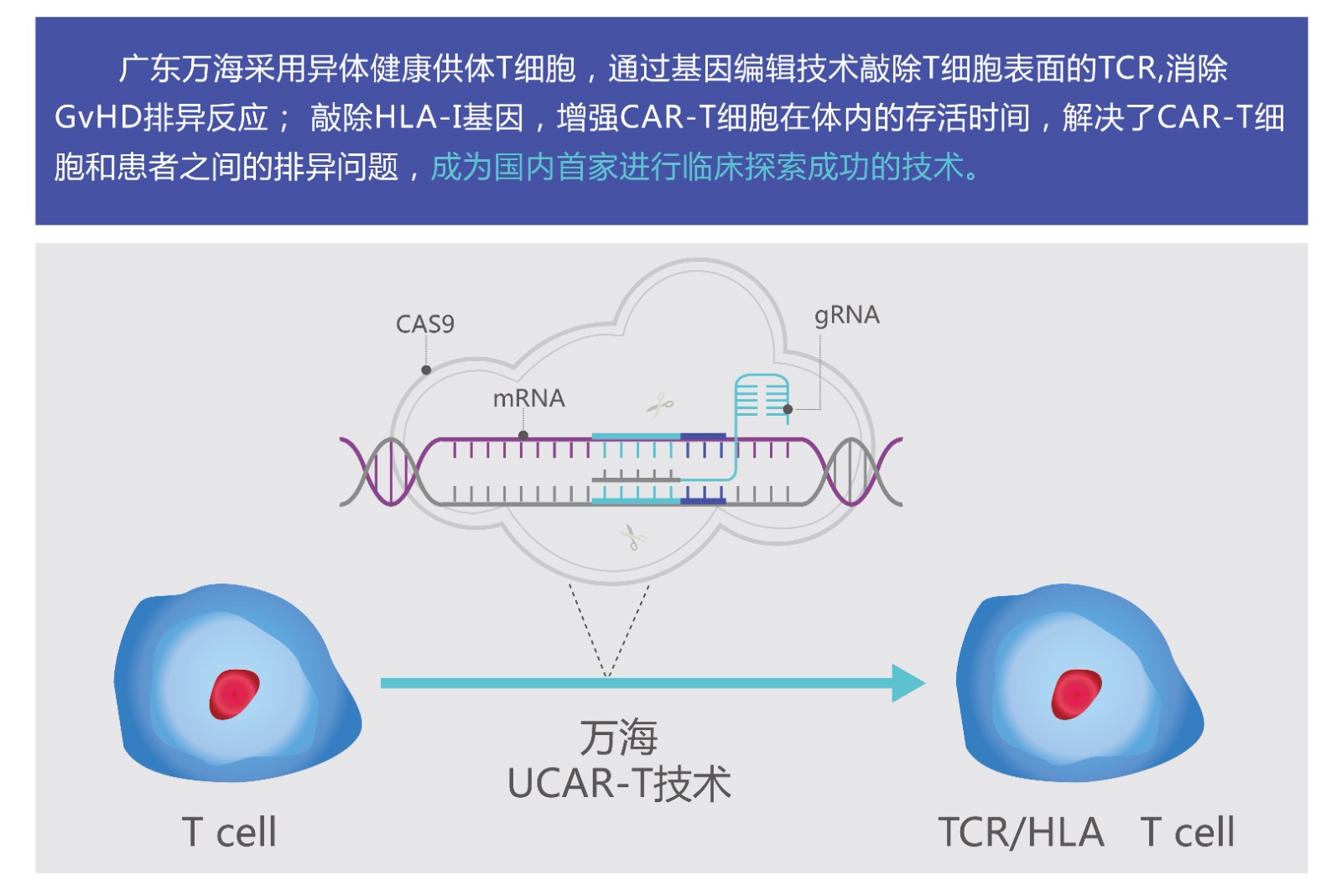 7UCART技術(shù)_副本.jpg